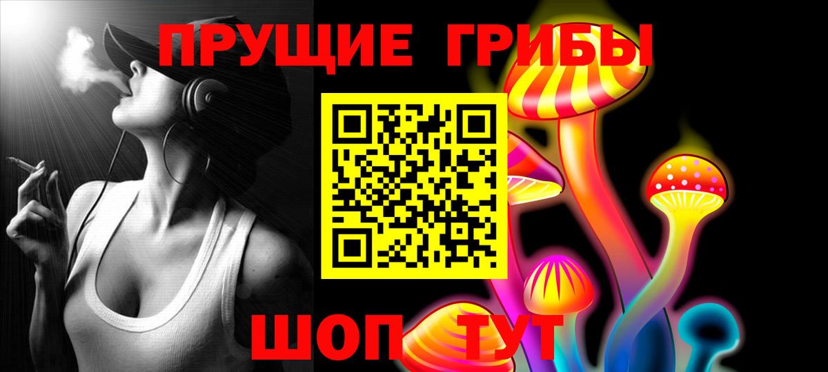 Галлюциногенные грибы Psilocybine cubensis  как найти   Псилоцибиновые грибы Psilocybine cubensis  Ивантеевка  Вход с VPN 
